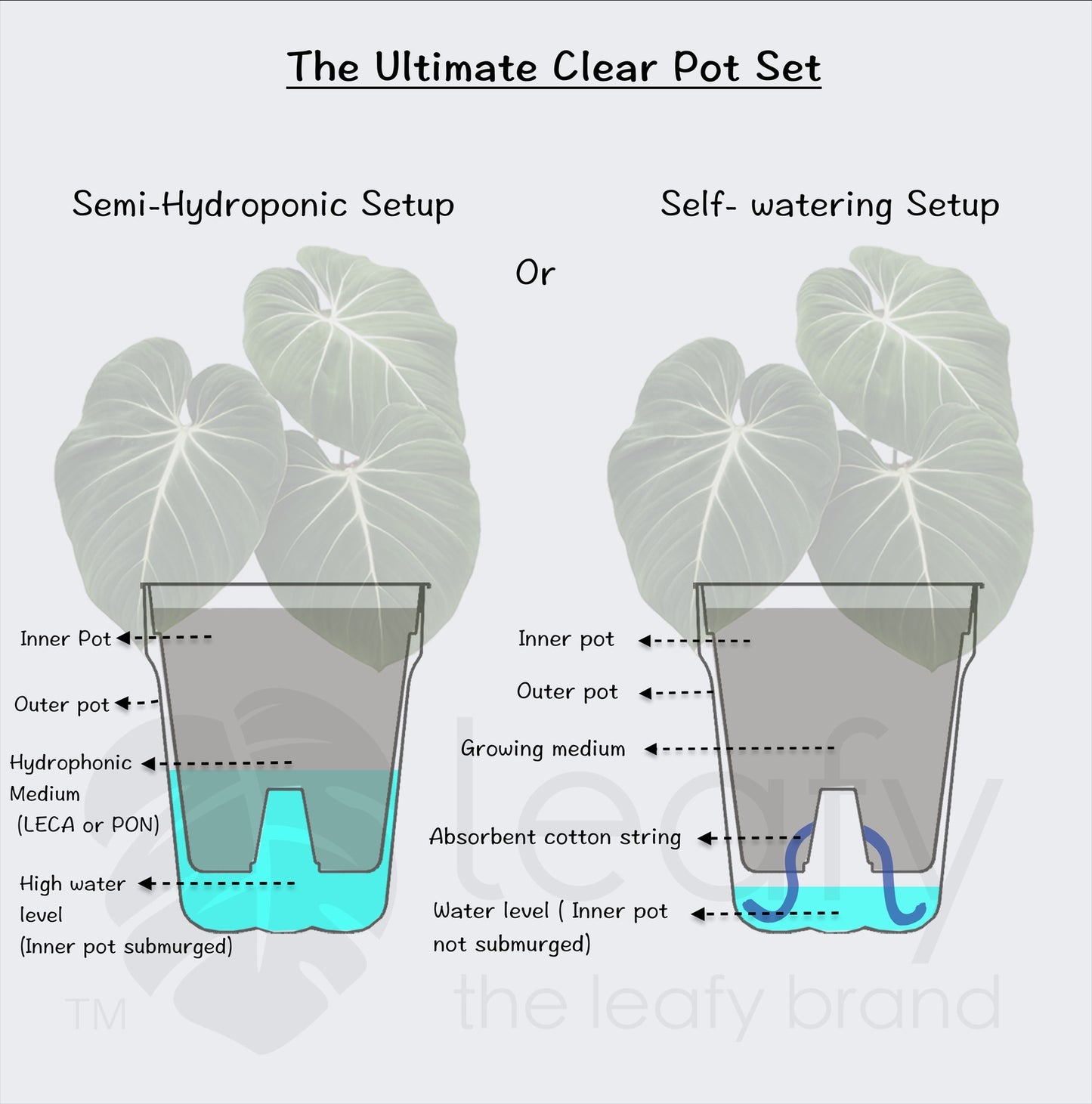 The Ultimate Clear Pot Set