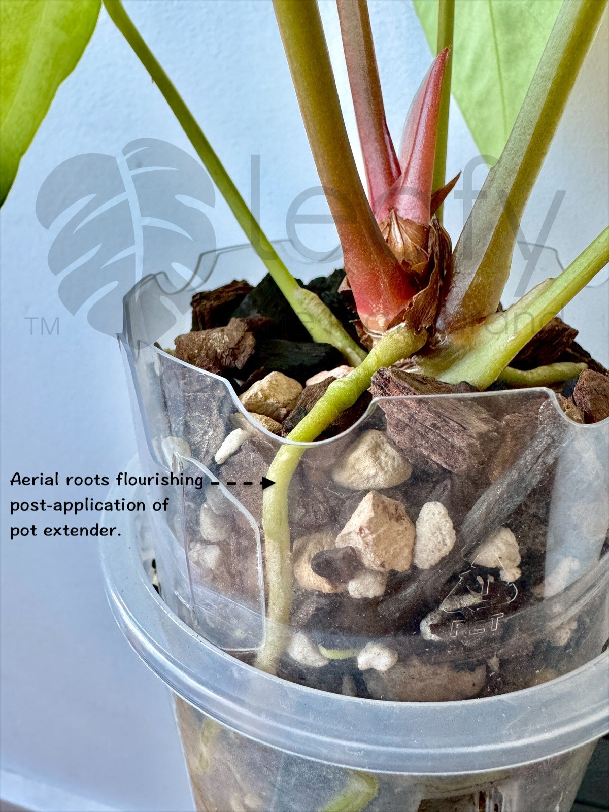 plant pot extender leafy™ Pot Extender