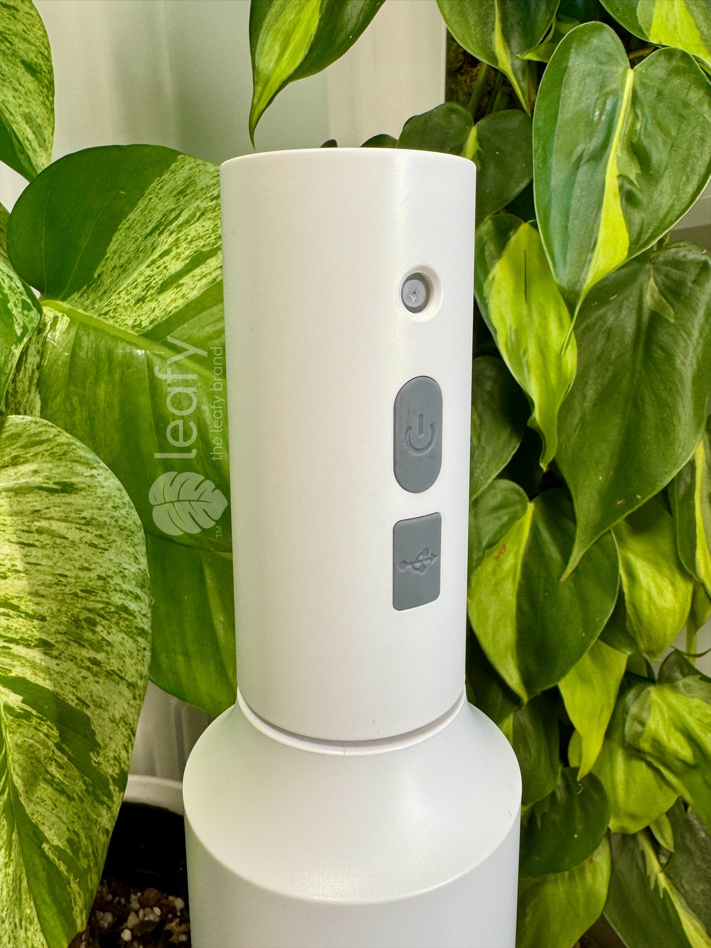 leafy™ Auto Spray Bottle