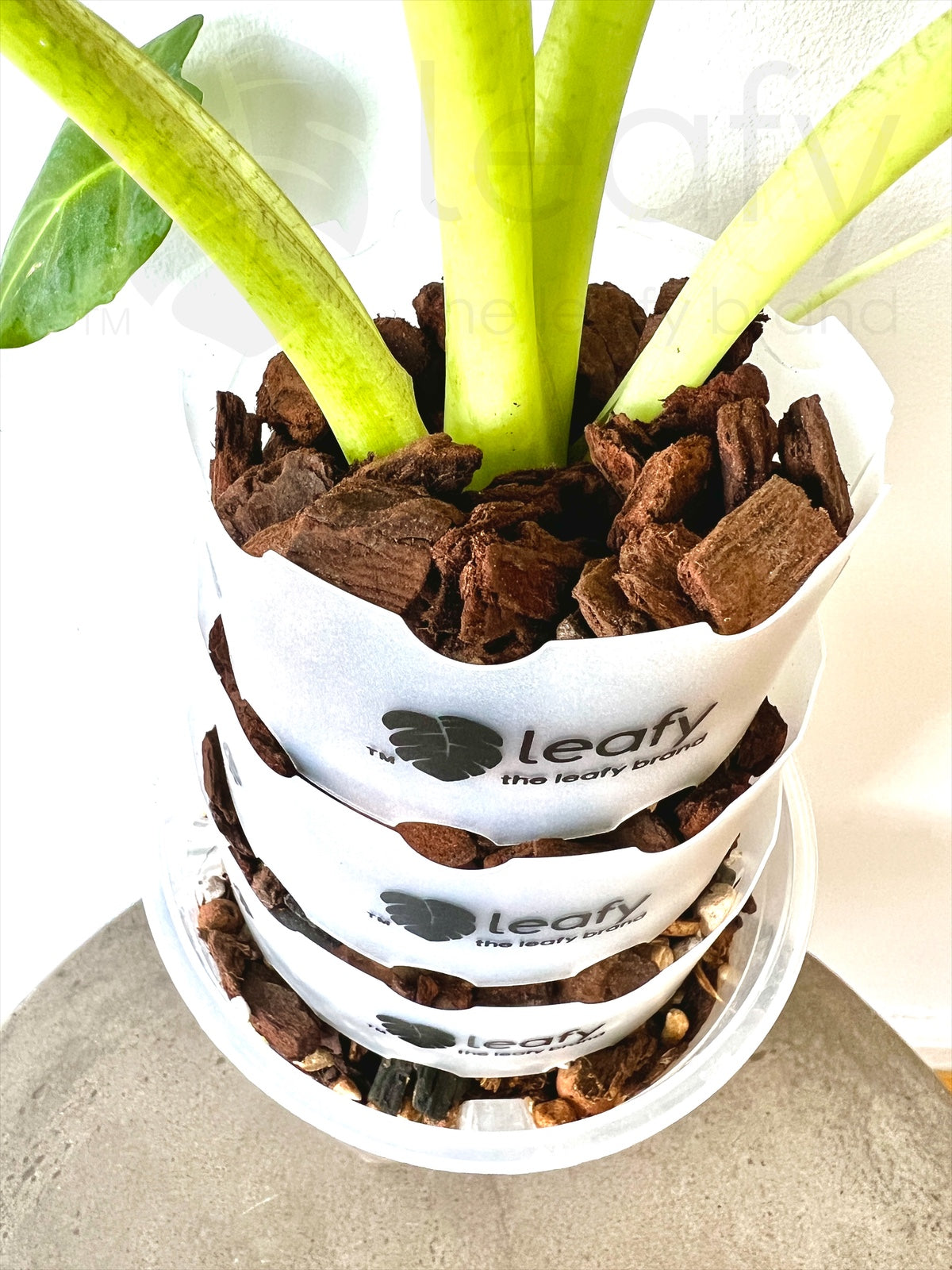 plant pot extender leafy™ Pot Extender