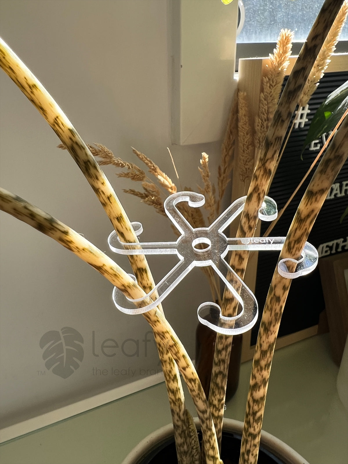 leafy™ Stem Support Hooks