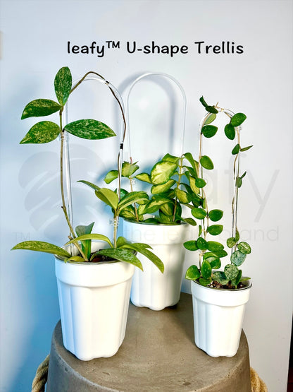 leafy™ U-shape Trellis