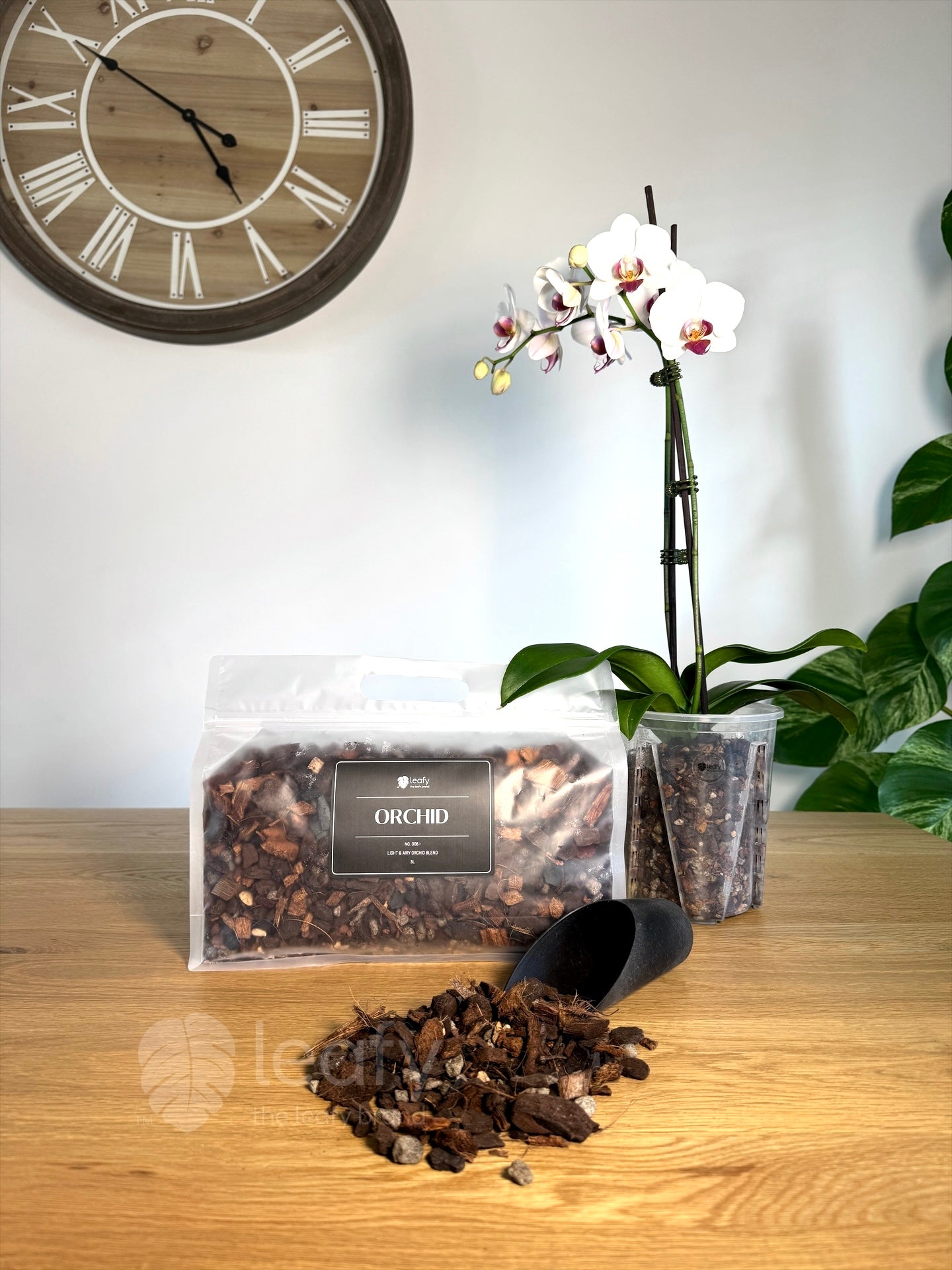 leafy™ Orchid - 006 Light & airy Orchid Blend