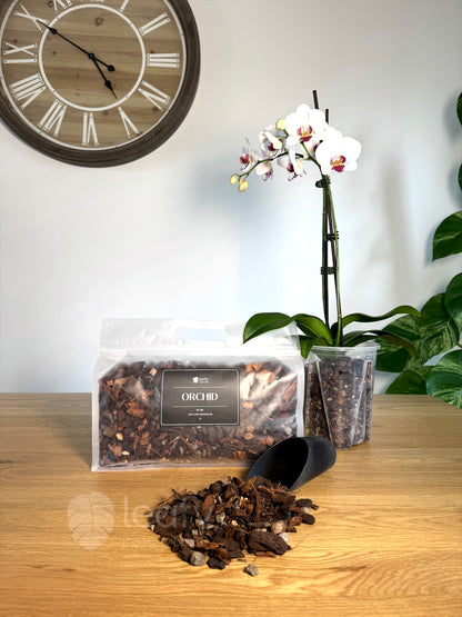 leafy™ Orchid - 006 Light & airy Orchid Blend