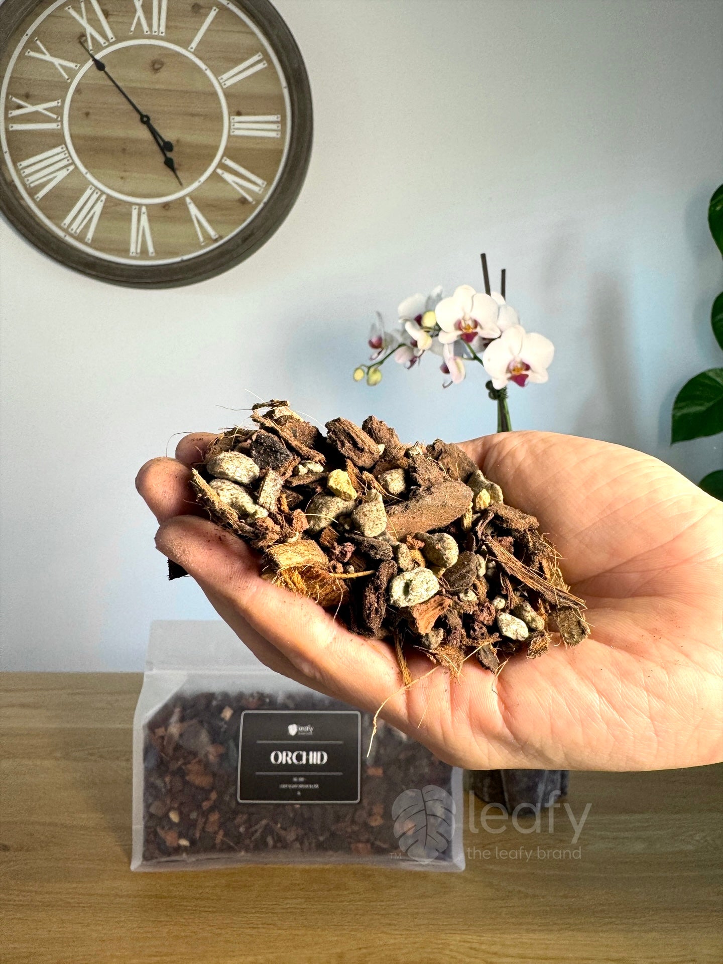 leafy™ Orchid - 006 Light & airy Orchid Blend