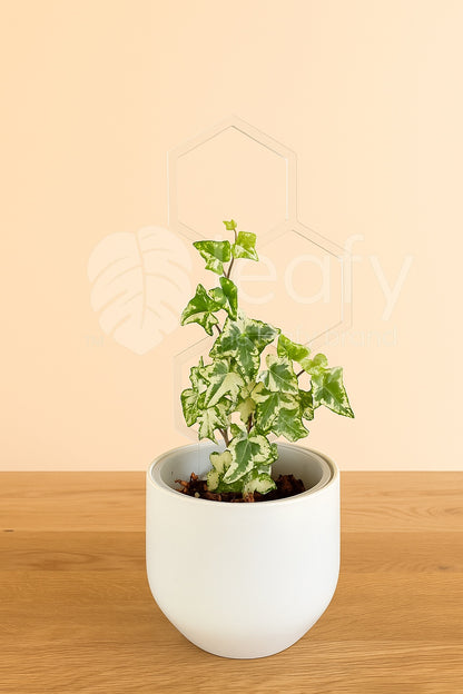 leafy™ Honeycomb Trellis - Type II