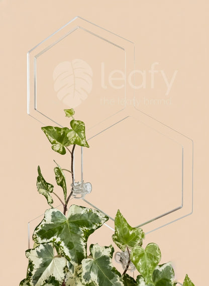 leafy™ Honeycomb Trellis - Type II