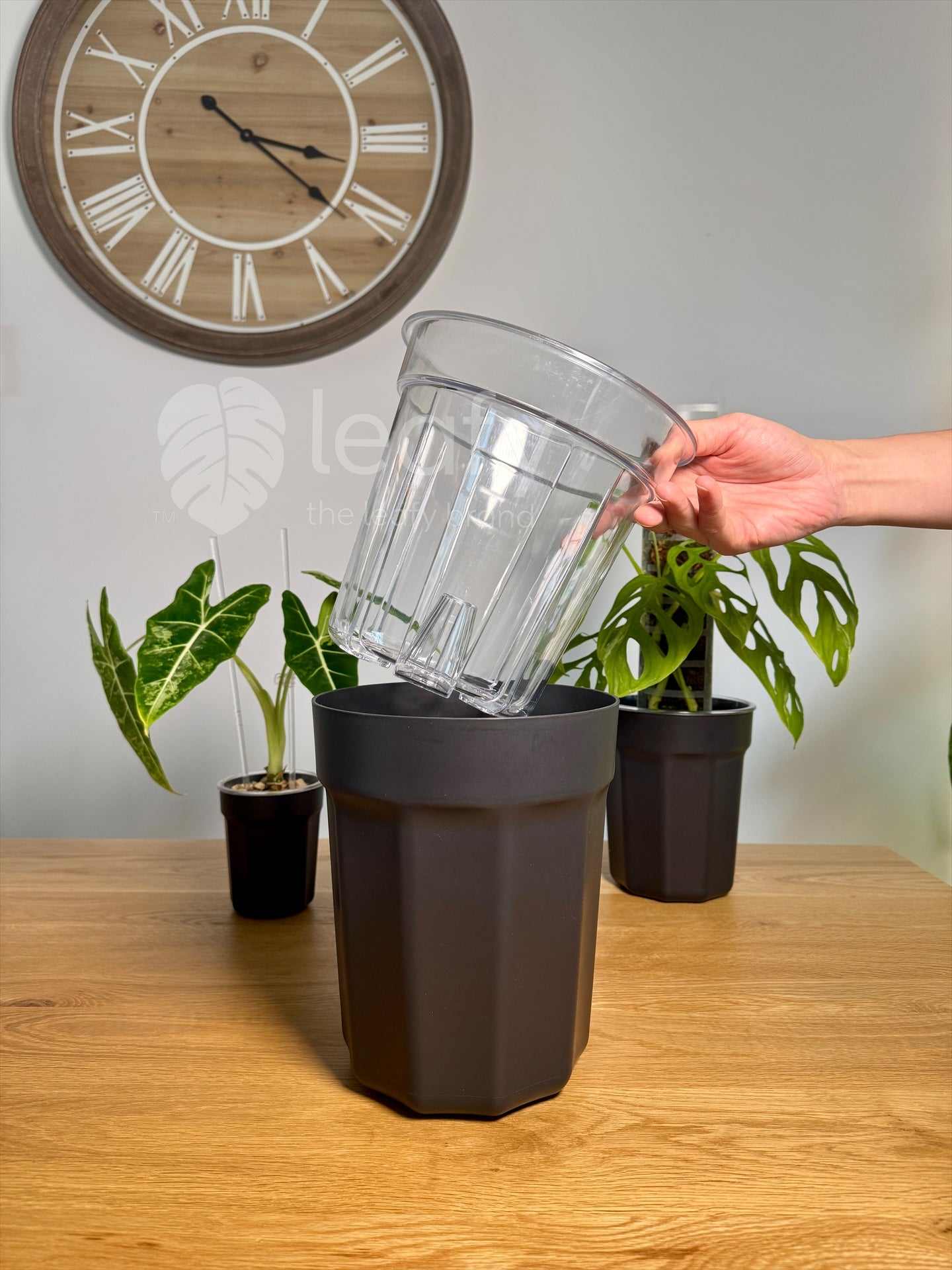 The Ultimate Clear Pot – Type II