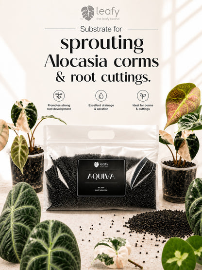 leafy™ Aquiva - 004 Smart Aqua Soil