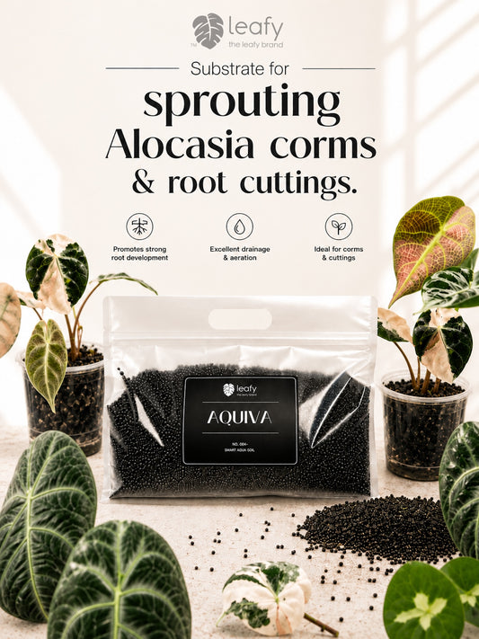 leafy™ Aquiva - 004 Smart Aqua Soil