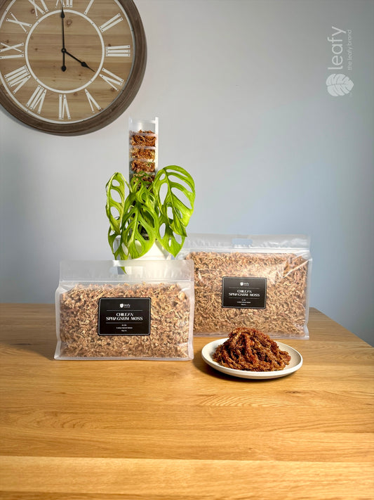 leafy™ Chilean Sphagnum Moss - 005 Premium Fibered