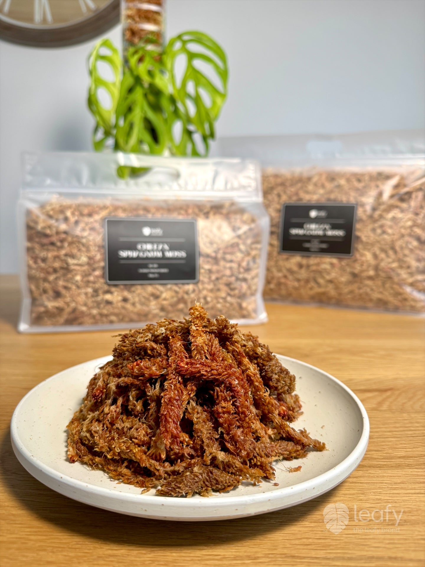 leafy™ Chilean Sphagnum Moss - 005 Premium Fibered