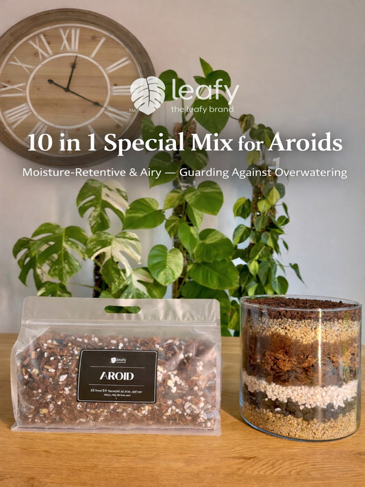 leafy™ Aroid 001 special Mix