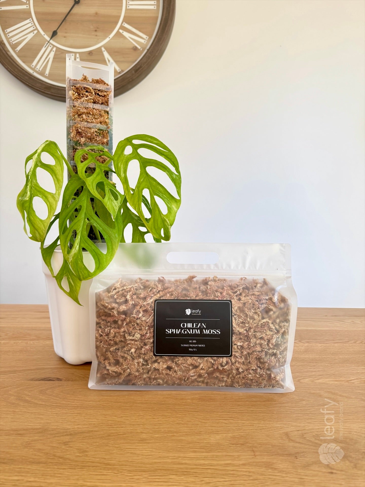 leafy™ Chilean Sphagnum Moss - 005 Premium Fibered