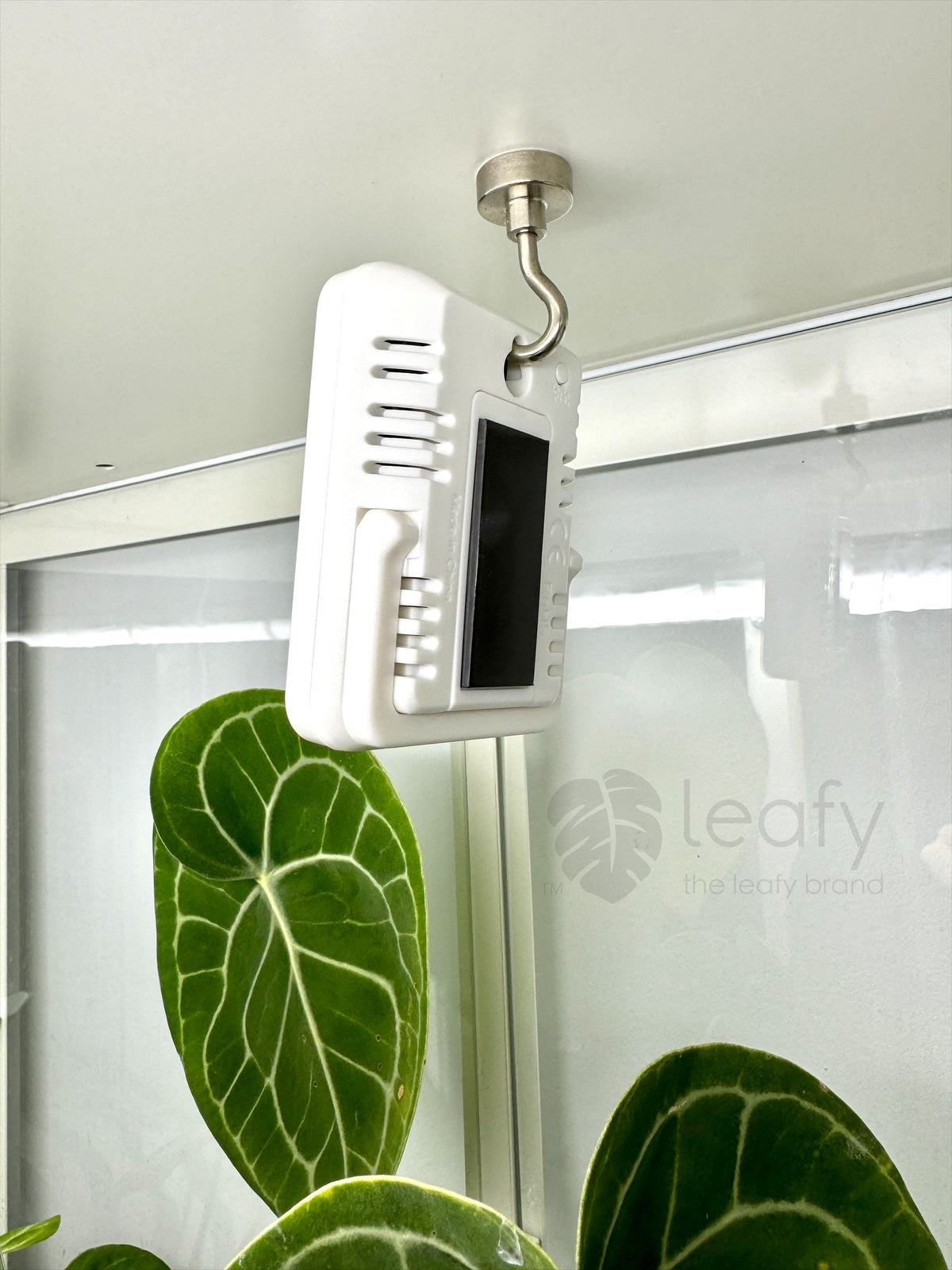 leafy™ Digital Indoor Temperature & Humidity Meter