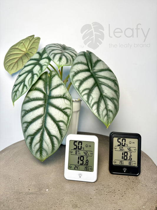 leafy™ Digital Indoor Temperature & Humidity Meter