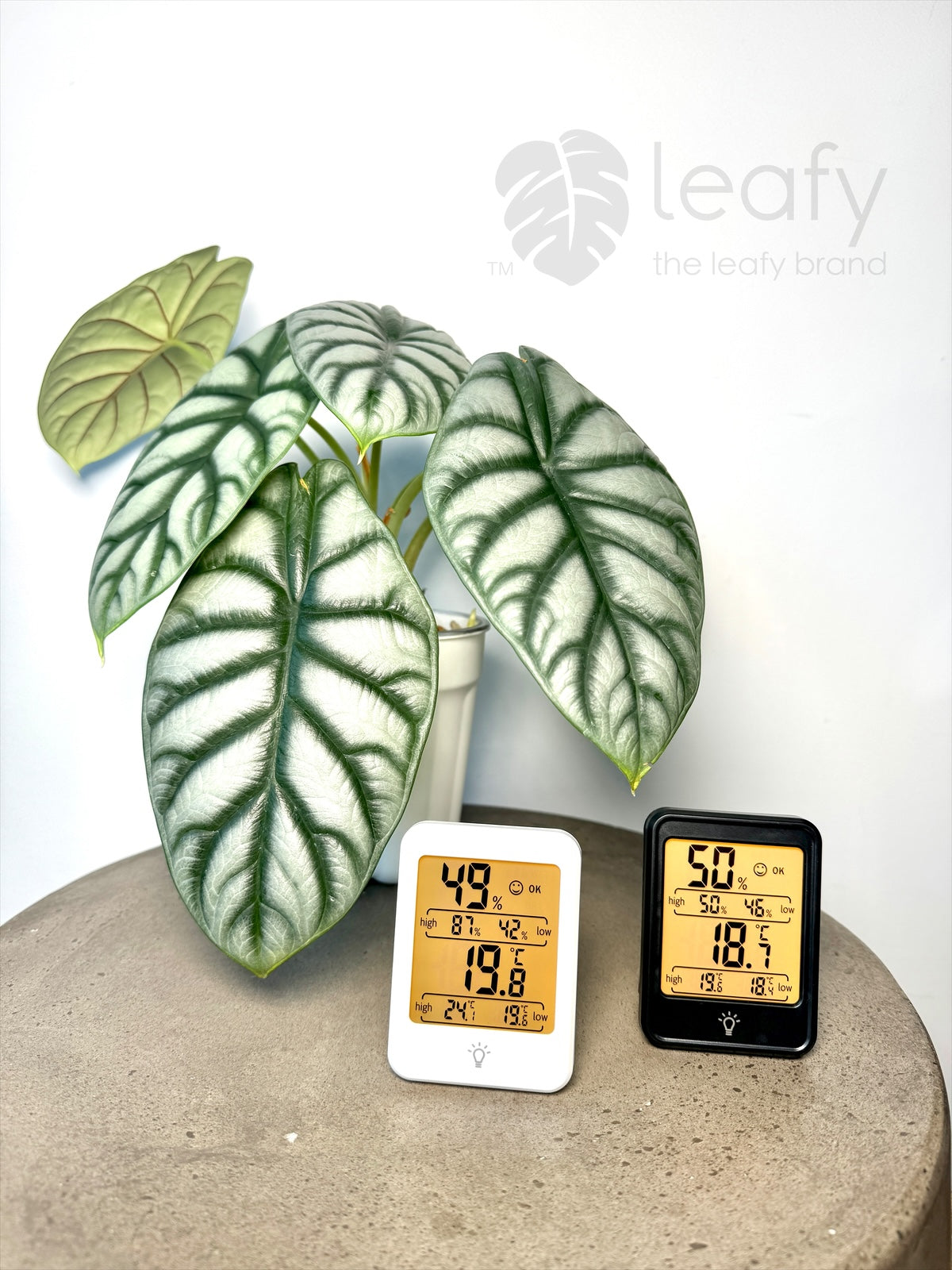 leafy™ Digital Indoor Temperature & Humidity Meter