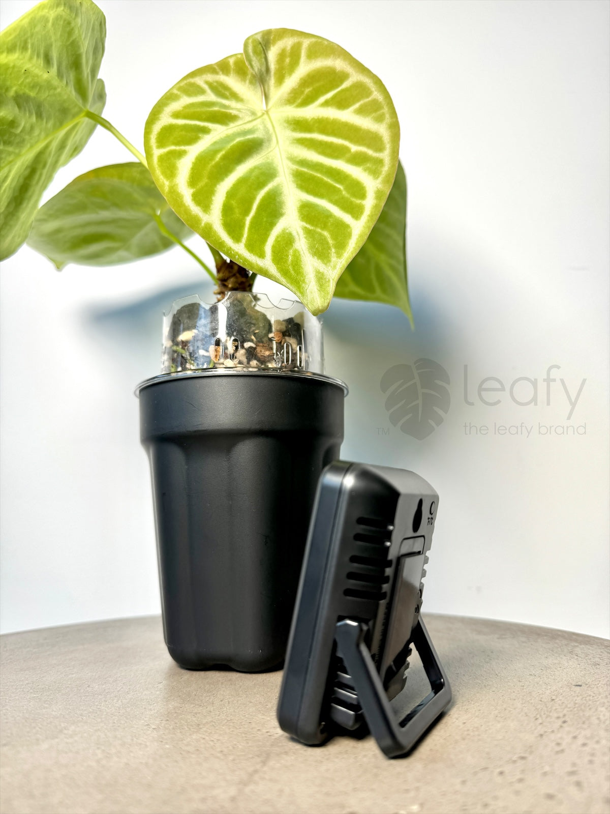 leafy™ Digital Indoor Temperature & Humidity Meter