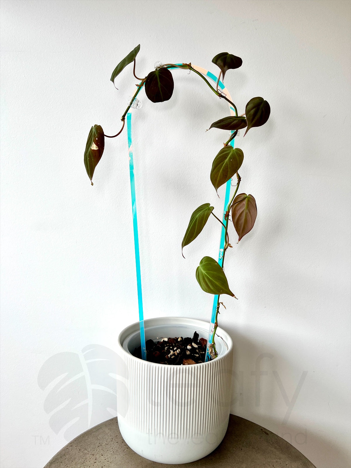 leafy™ Acrylic arch trellis