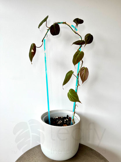 leafy™ Acrylic arch trellis