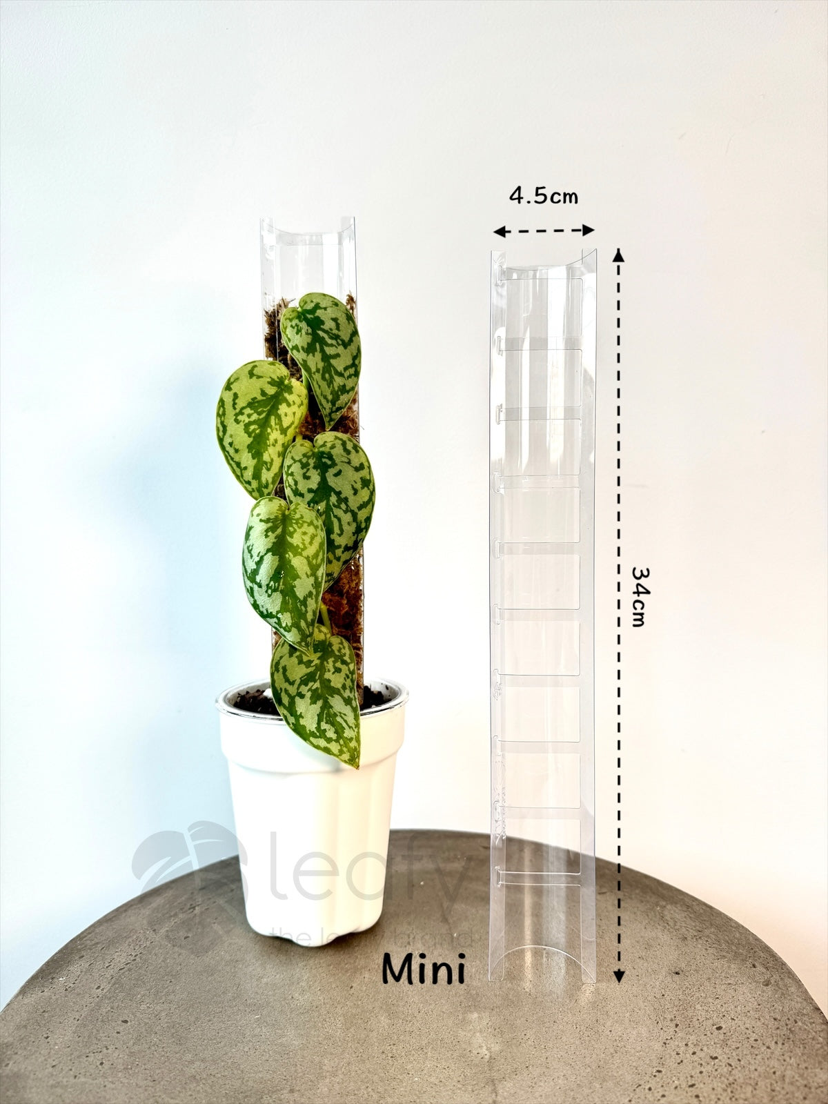 leafy™ Moss Pole 3.0 (NEW)