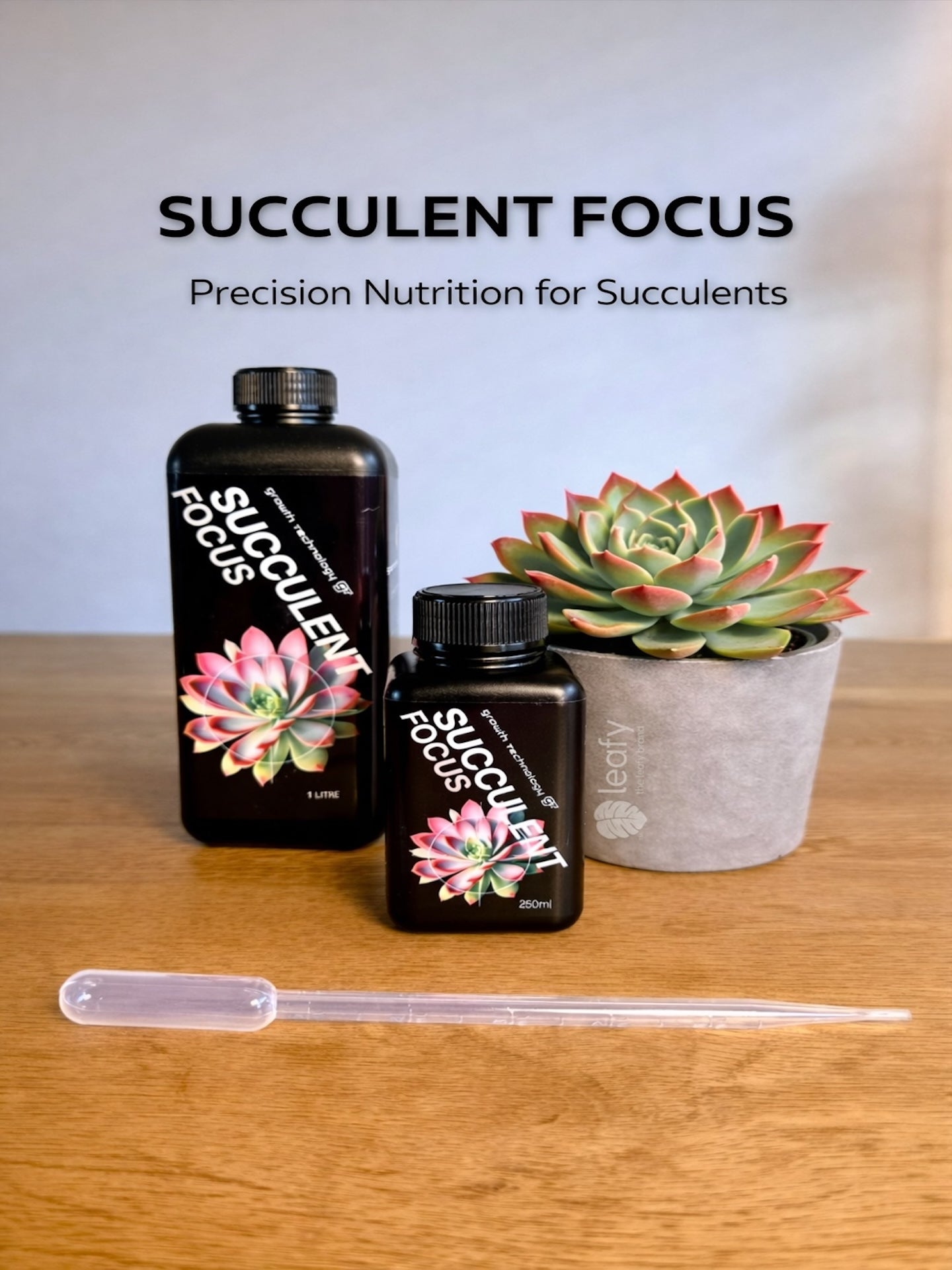 GT - Succulent Focus