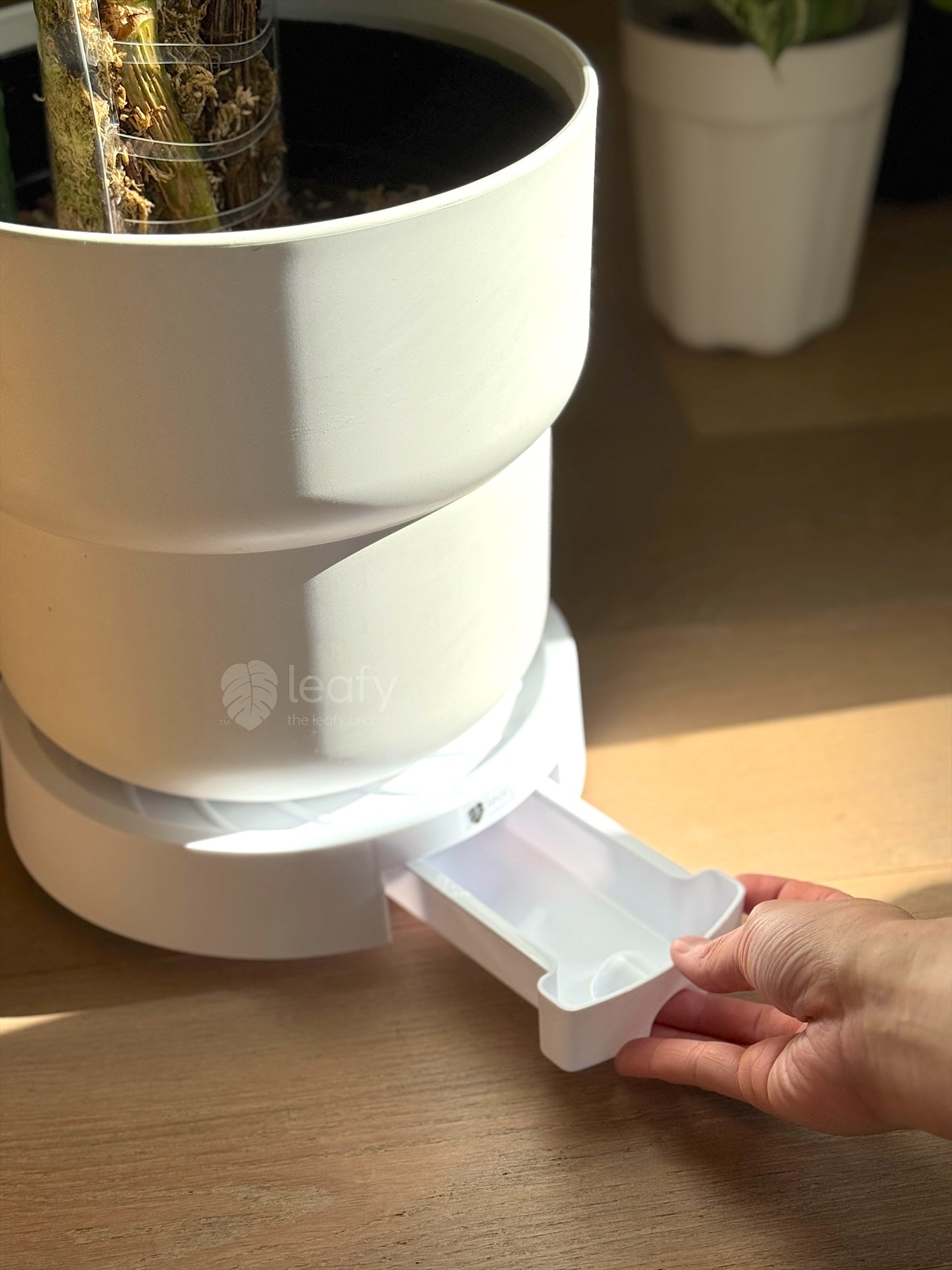 plant pot wheels ikea leafy™ Pot Wheels – The Leafy Brand