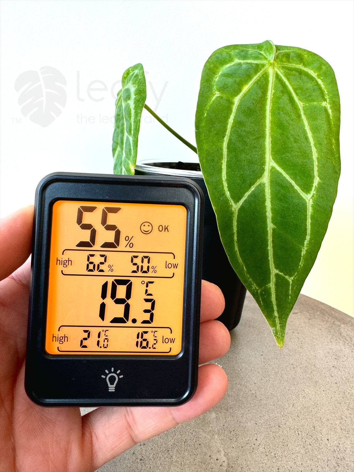 leafy™ Digital Indoor Temperature & Humidity Meter