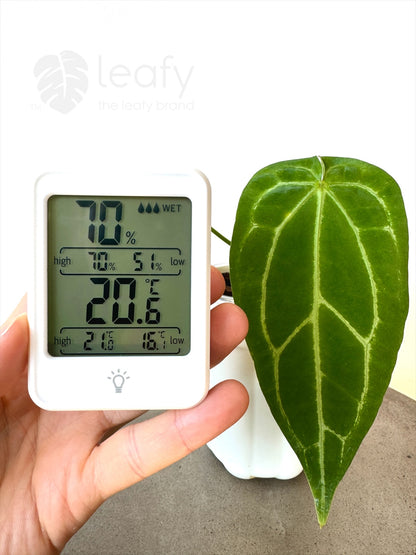 leafy™ Digital Indoor Temperature & Humidity Meter