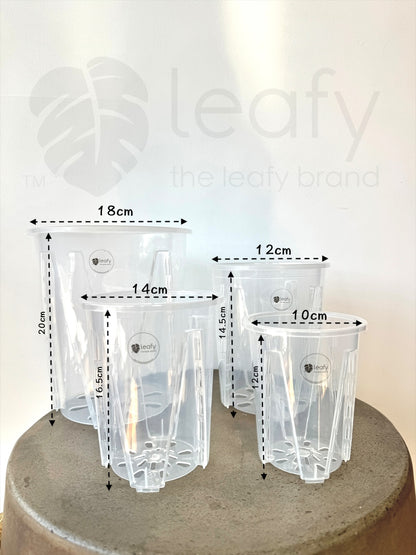 leafy™ Tall Ventilated clear pots