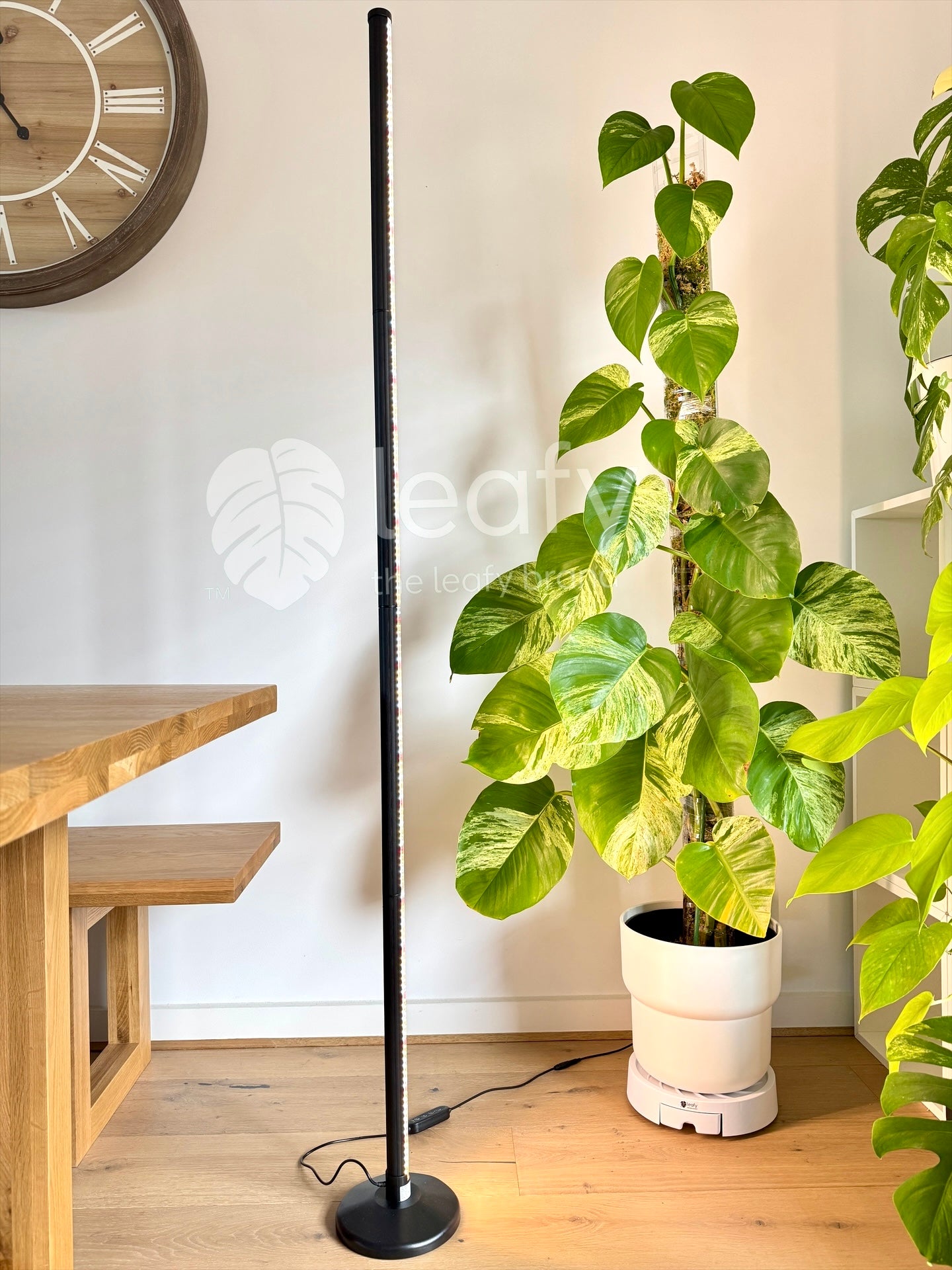 leafy™ Thrive Light