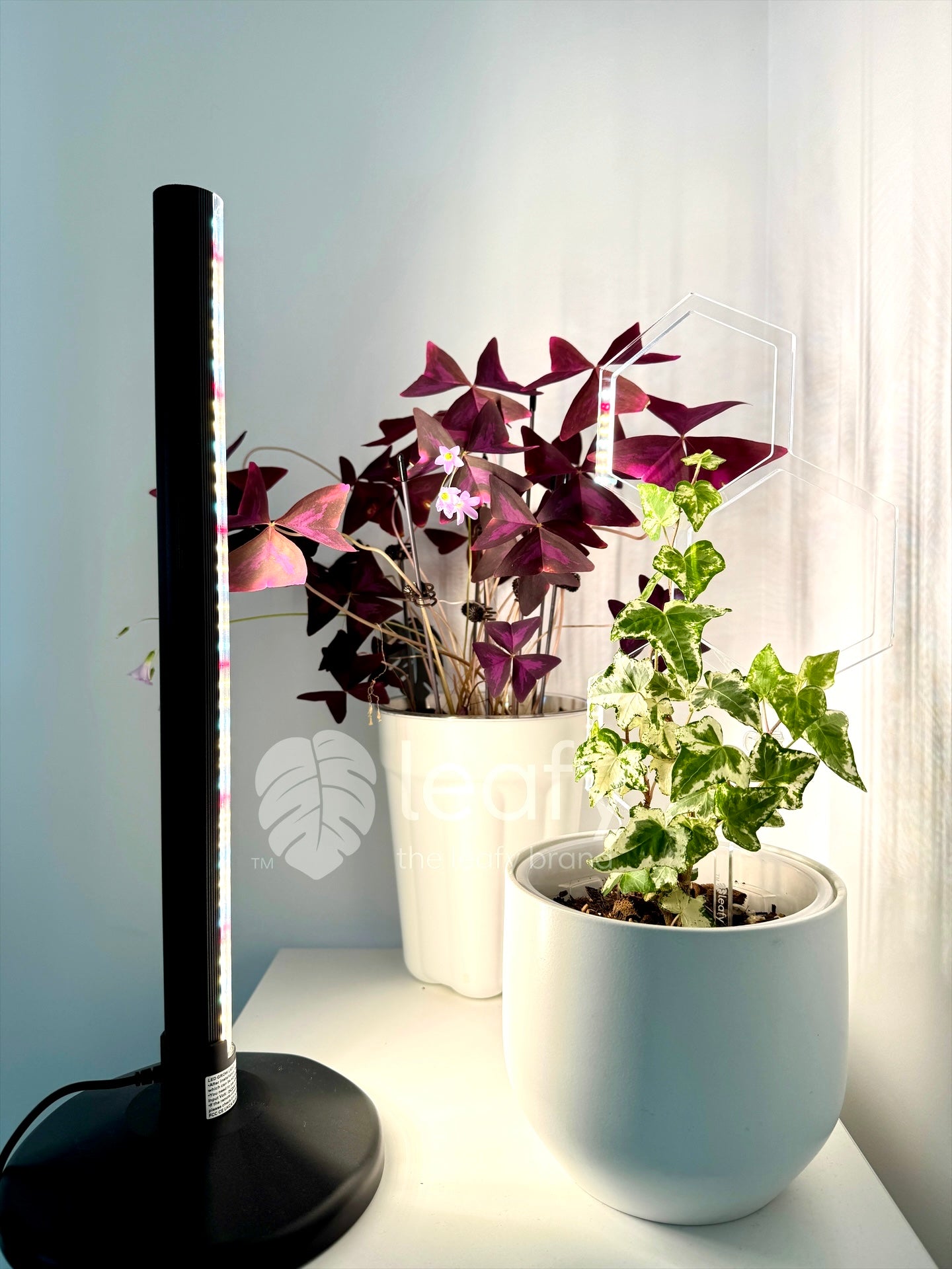 leafy™ Thrive Light