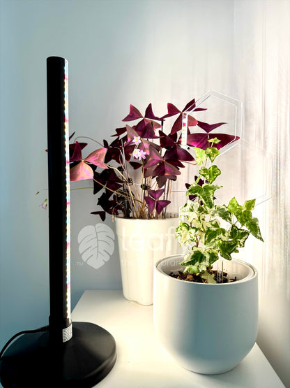 leafy™ Thrive Light