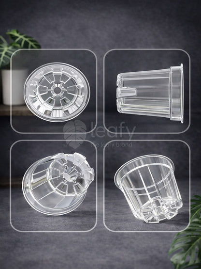 Leafy™ Crystal Clear Pot