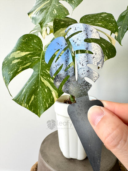 leafy™ Monstera Shape Sticky Traps