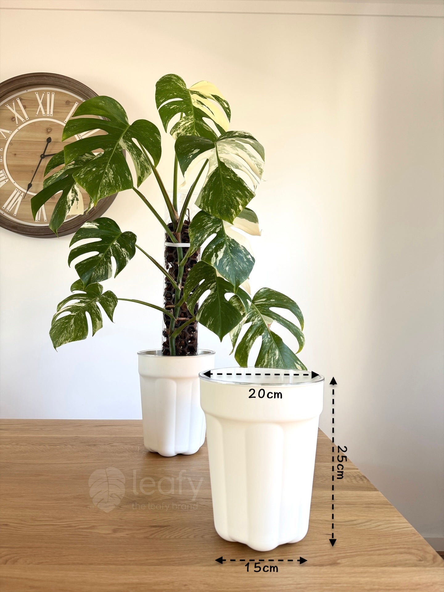 ostlig plant pot The Ultimate Clear Pot – The Leafy Brand