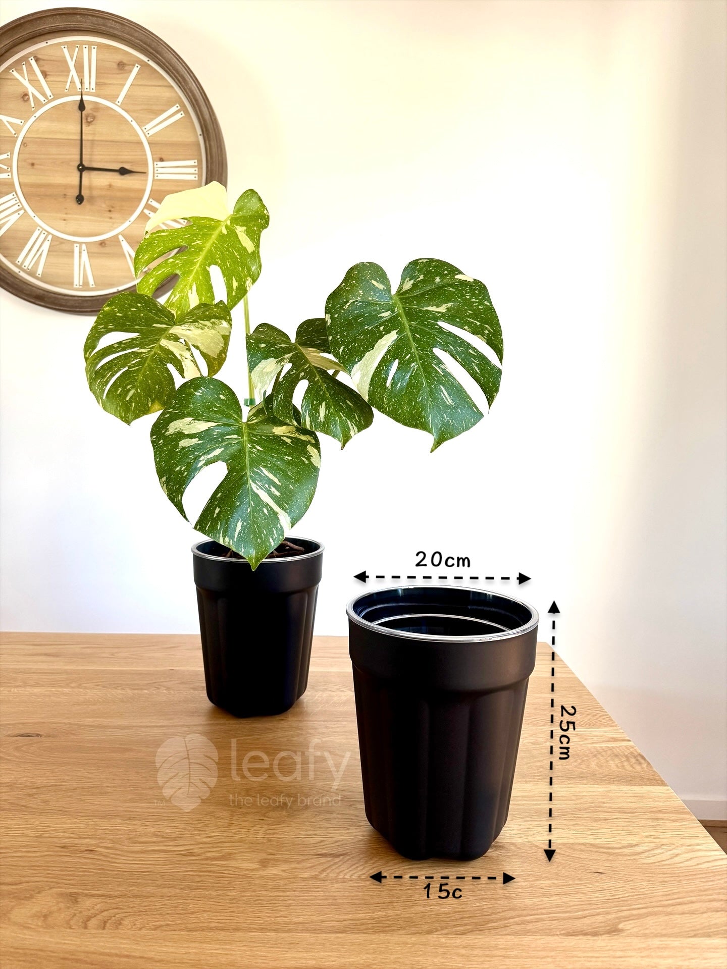 The Ultimate Clear Pot