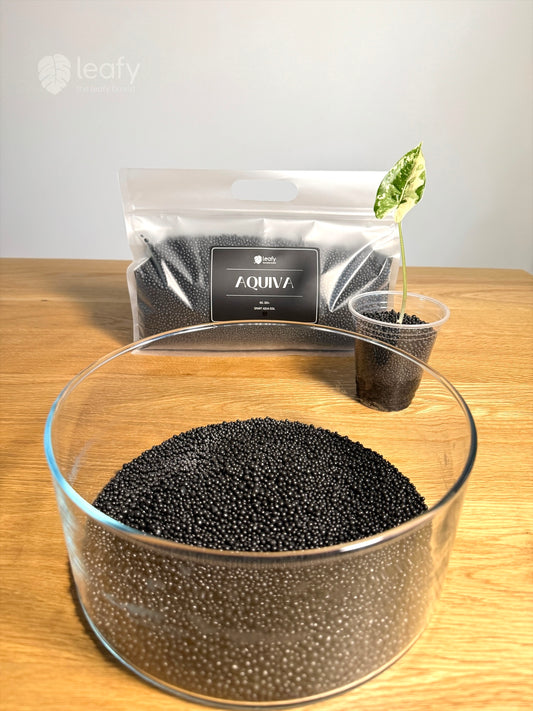 leafy™ Aquiva - 004 Smart Aqua Soil