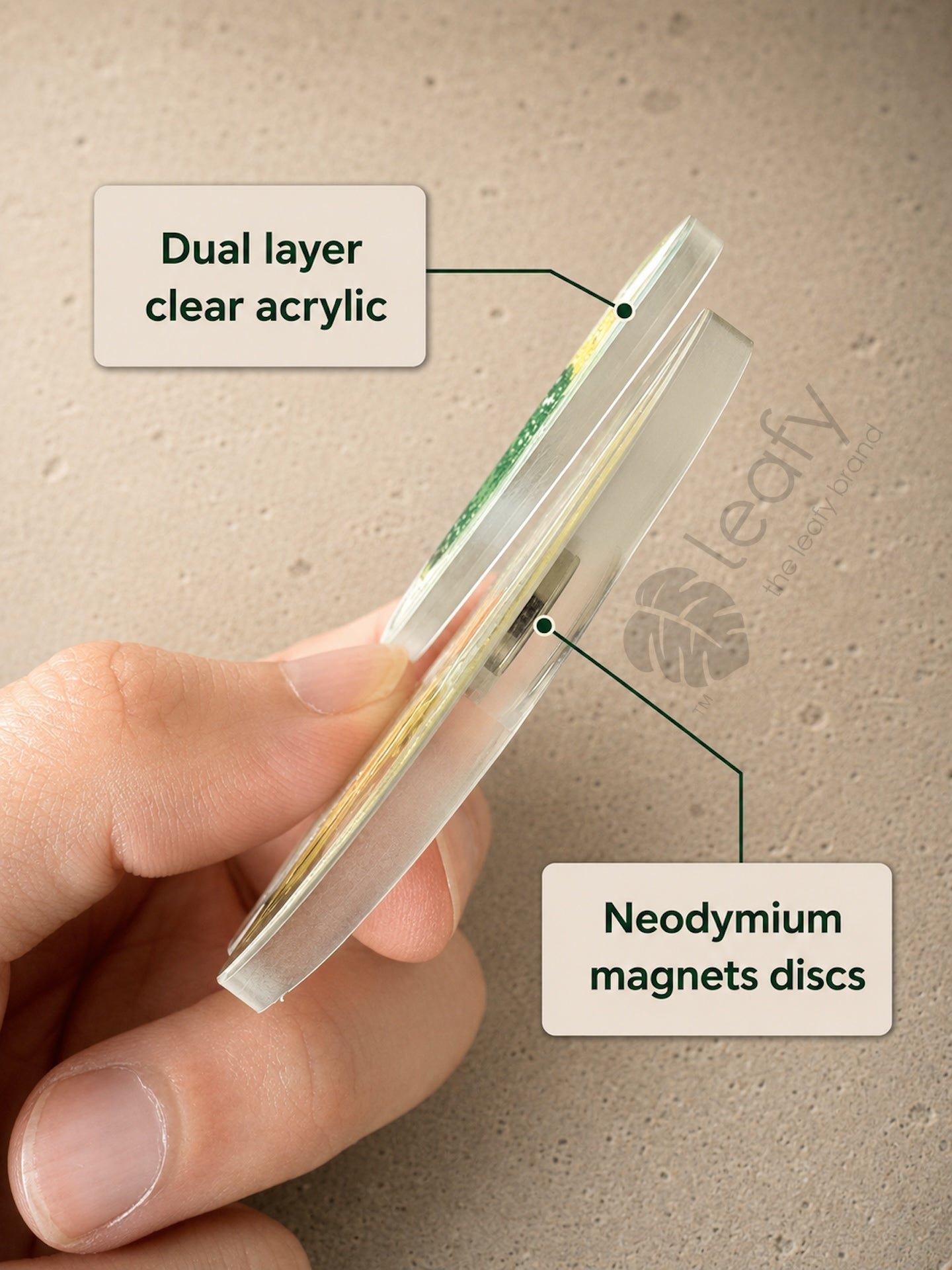 The Spinning Leaf Collection Fridge Magnets