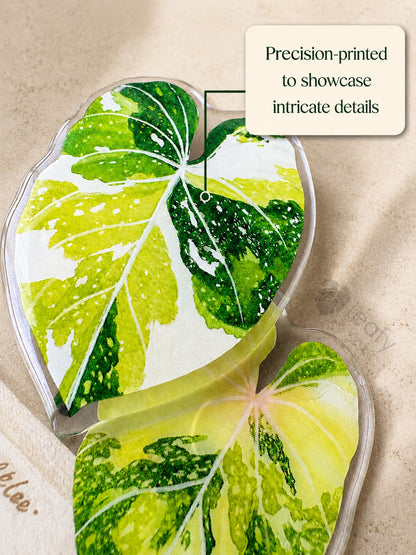 The Spinning Leaf Collection Fridge Magnets