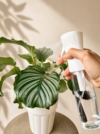 Flairosol Ultra Fine Mist Continuous Spray Bottle