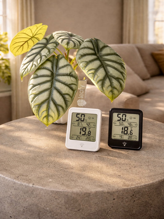 leafy™ Digital Indoor Temperature & Humidity Meter