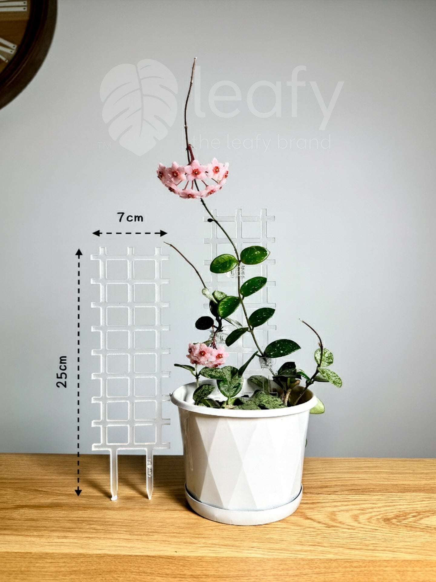 leafy™ Acrylic Grid Trellis