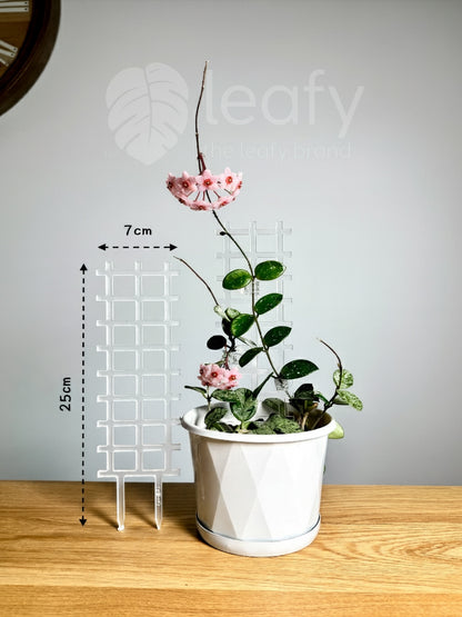 leafy™ Acrylic Grid Trellis