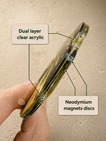 Monstera Deliciosa Collector’s Series Fridge Magnets