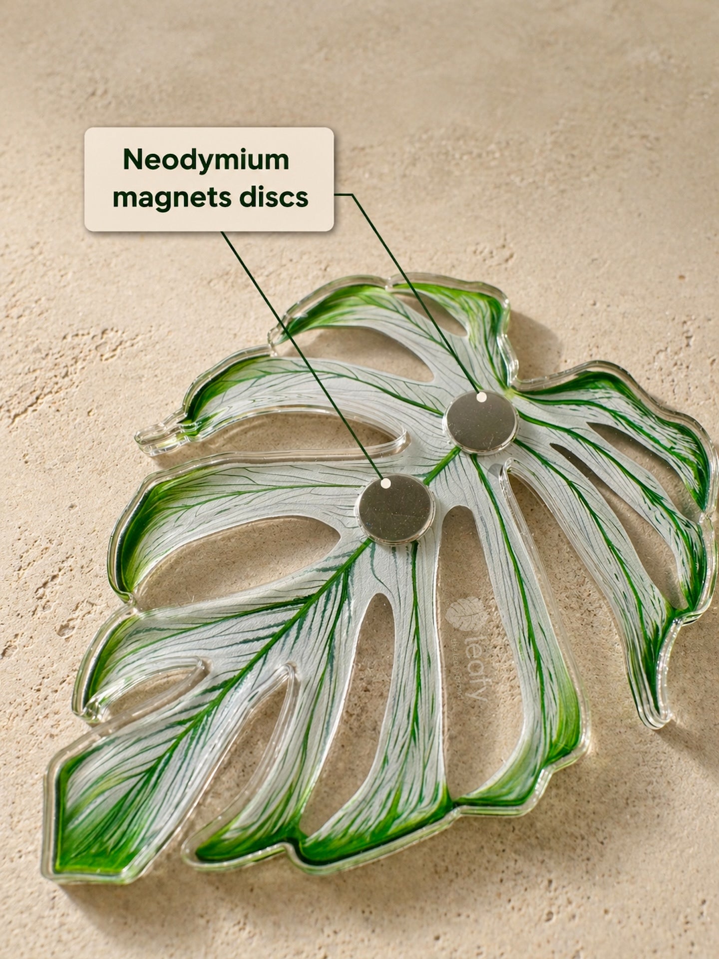 Monstera Deliciosa Collector’s Series Fridge Magnets