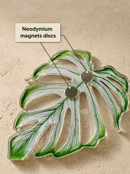 Monstera Deliciosa Collector’s Series Fridge Magnets