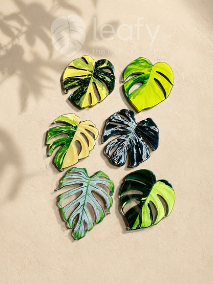 Monstera Deliciosa Collector’s Series Fridge Magnets