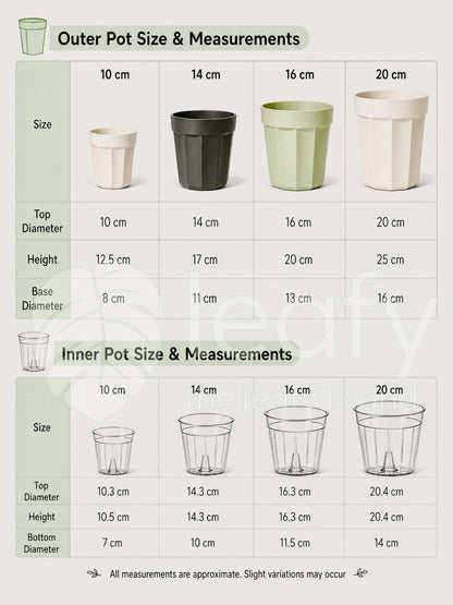 The Ultimate Clear Pot – Type II