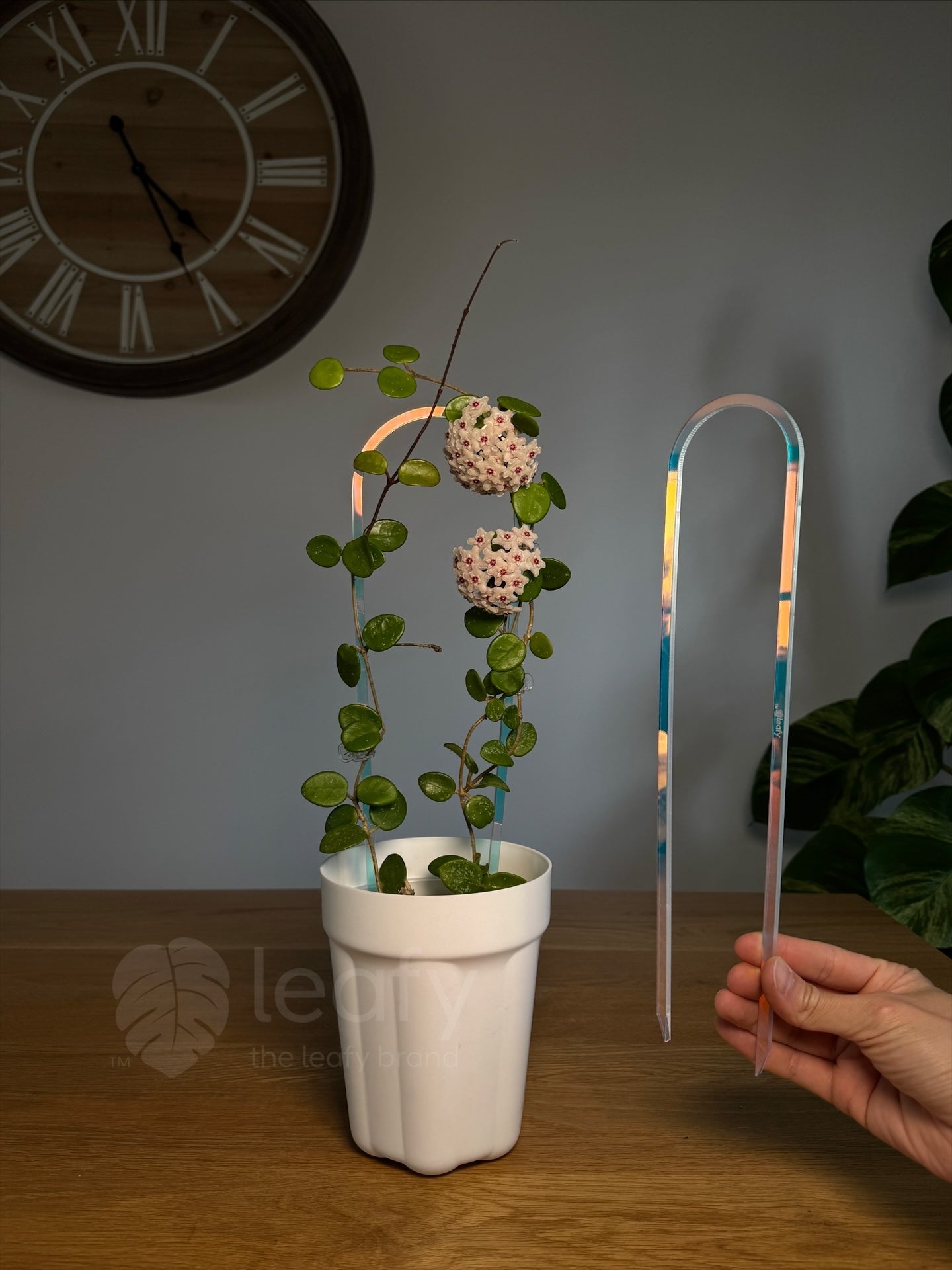 leafy™ Acrylic arch trellis